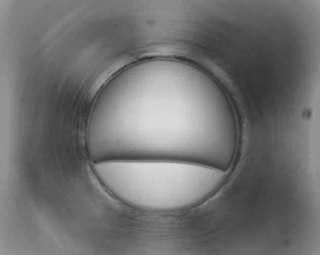 X0000113961329200909251017