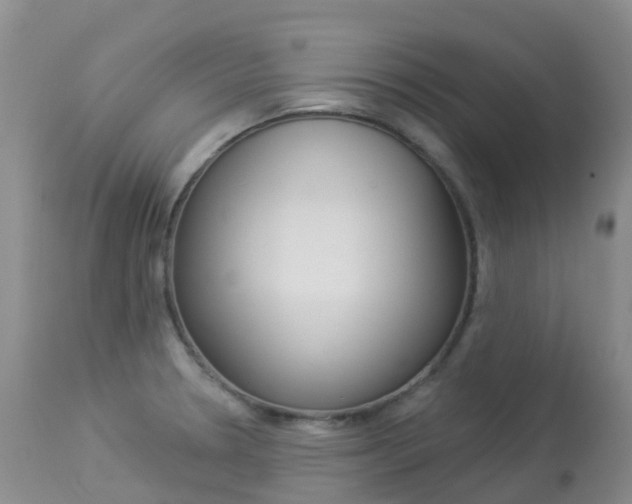 X0000113961330200909251017