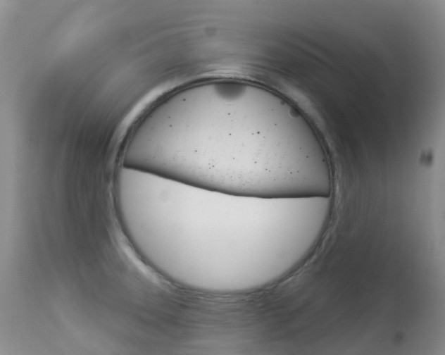 X0000113961331200909251017
