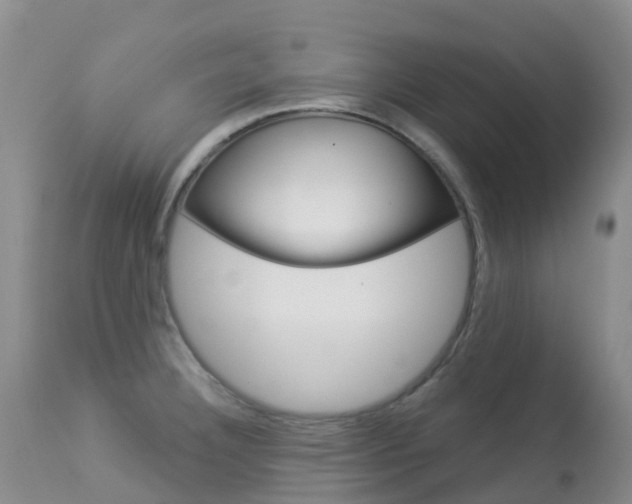 X0000113961332200909251017