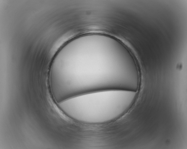X0000113961333200909251017