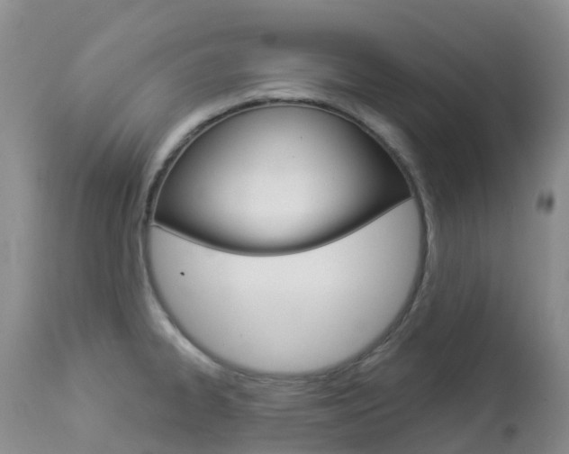 X0000113961334200909251017