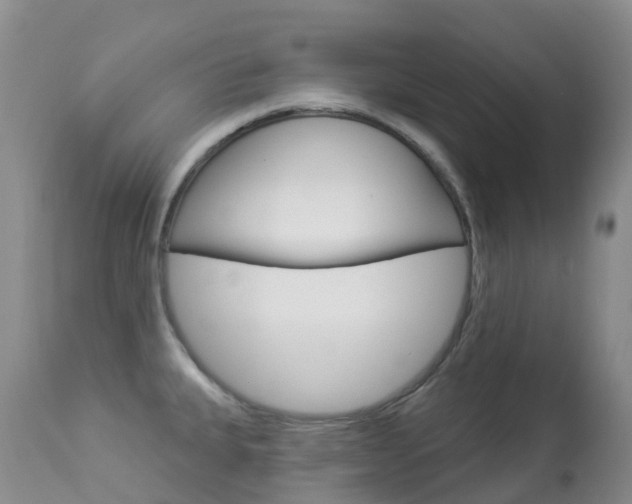 X0000113961335200909251017