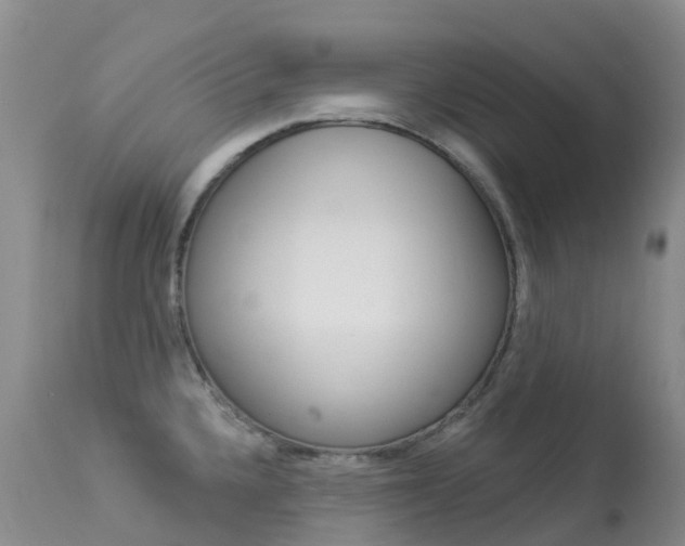 X0000113961336200909251017