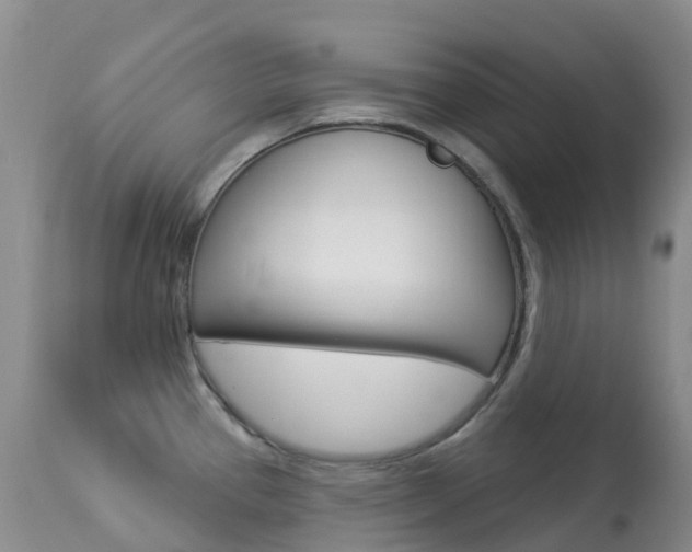 X0000113961337200909251017