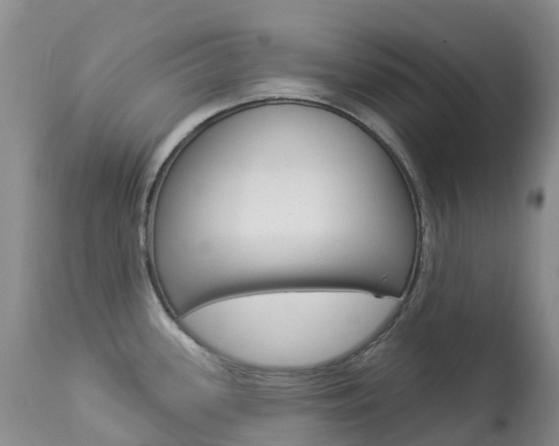 X0000113961339200909251017
