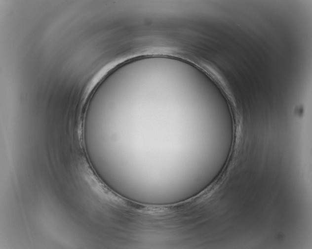 X0000113961340200909251017