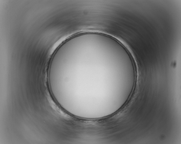 X0000113961341200909251017
