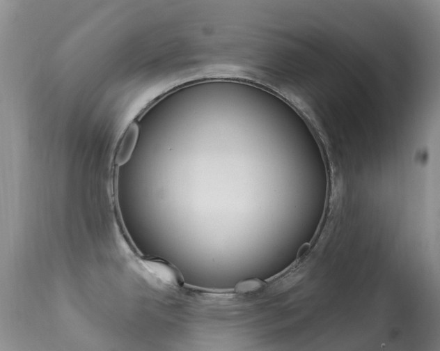 X0000113961342200909251017