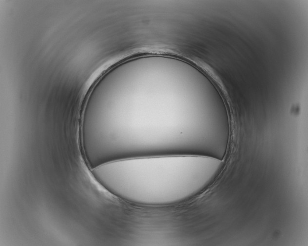 X0000113961343200909251017