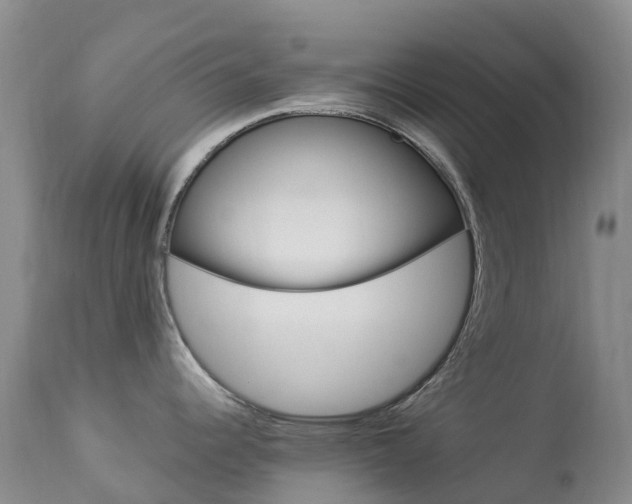 X0000113961344200909251017