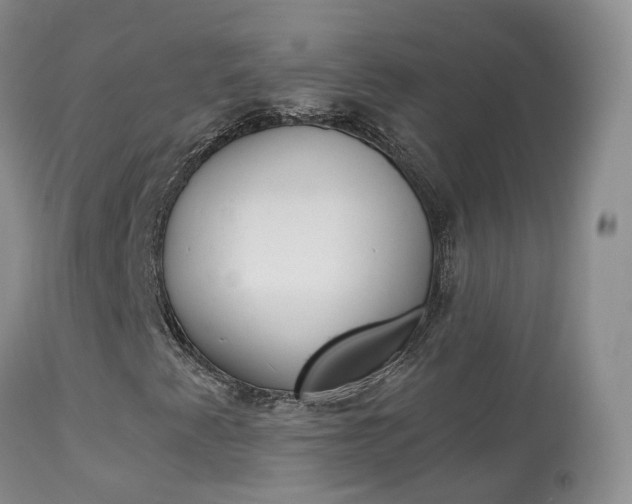 X0000113961345200909251017