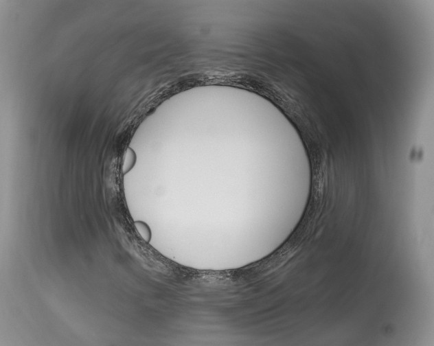 X0000113961346200909251017