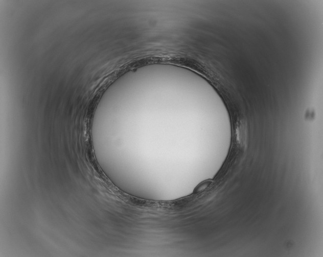 X0000113961347200909251017