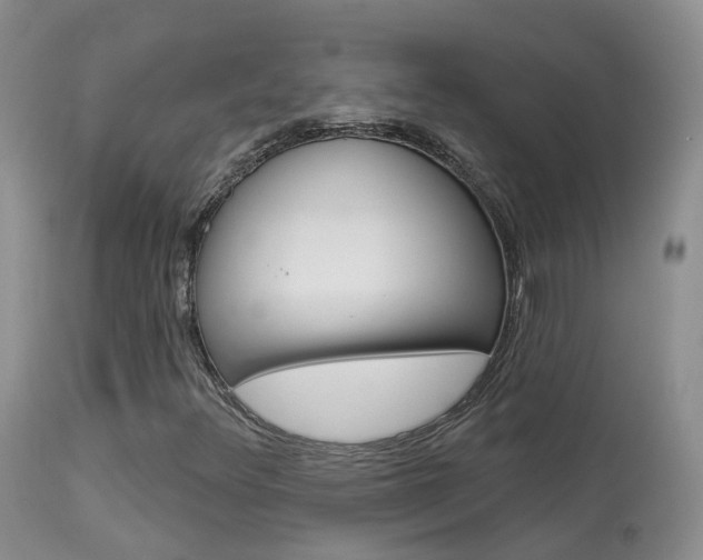 X0000113961348200909251016