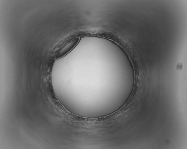 X0000113961349200909251016