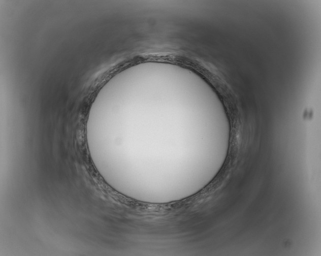 X0000113961350200909251016