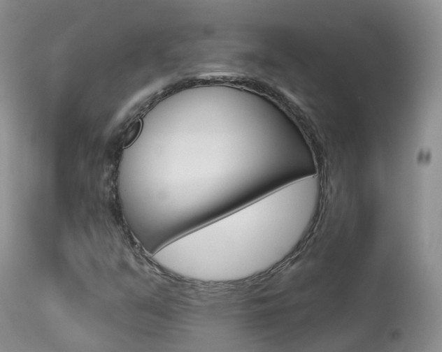 X0000113961351200909251016