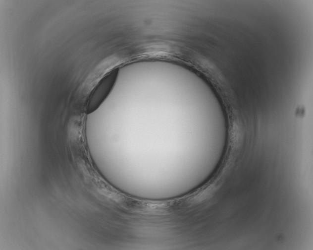 X0000113961353200909251016