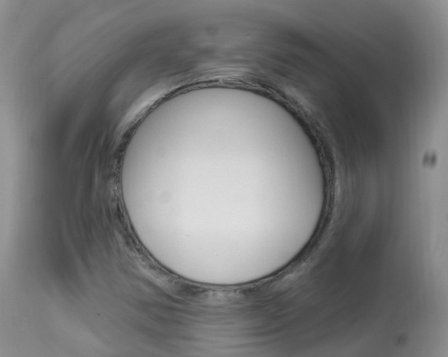X0000113961354200909251016