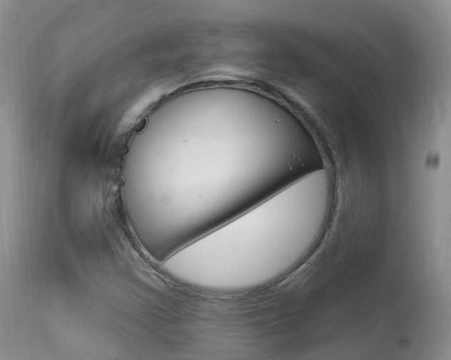 X0000113961355200909251016