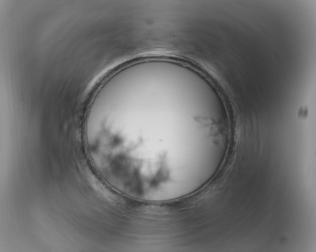 X0000113961356200909251016