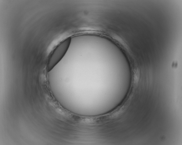 X0000113961357200909251016