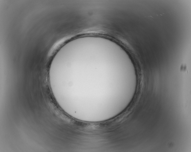 X0000113961358200909251016