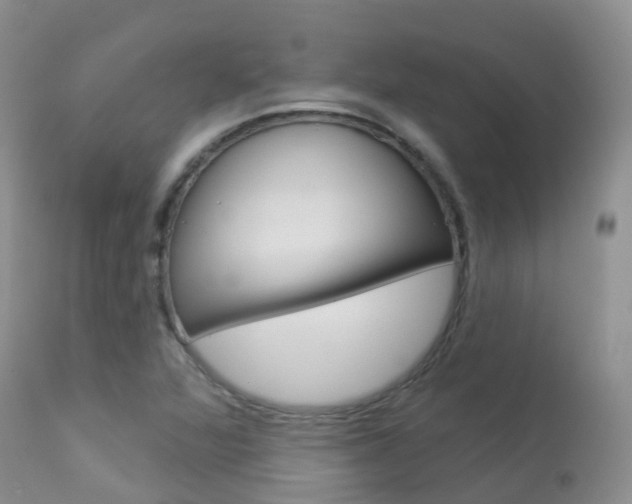 X0000113961360200909251016