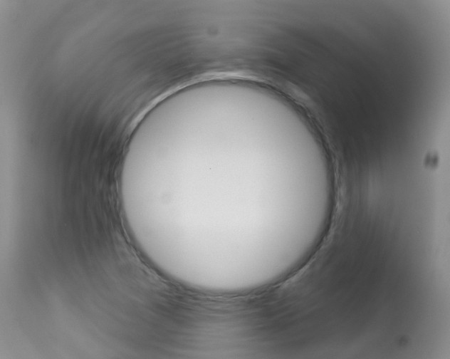 X0000113961361200909251016