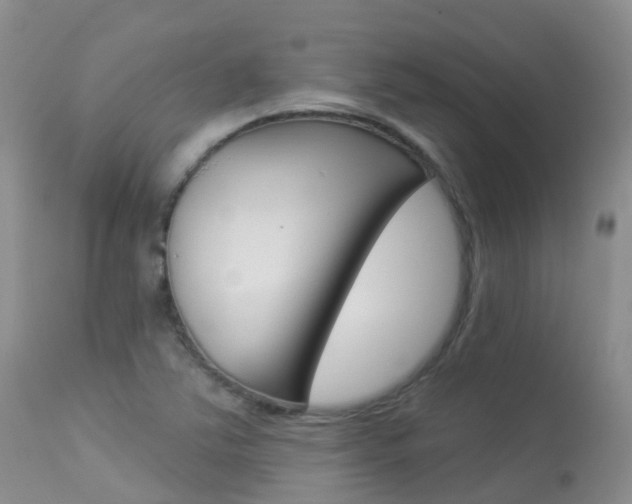 X0000113961363200909251016