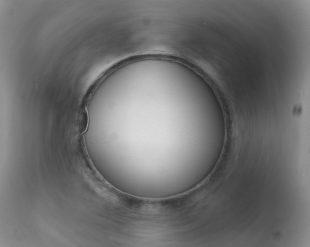 X0000113961364200909251016