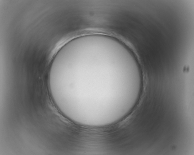 X0000113961365200909251016