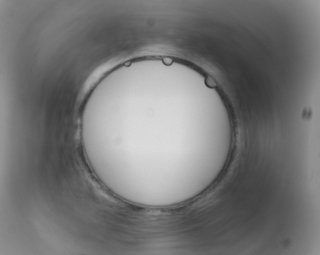 X0000113961366200909251016
