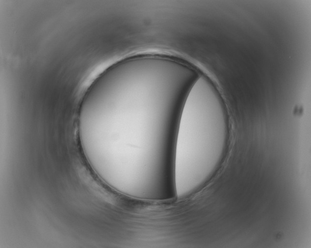 X0000113961367200909251016