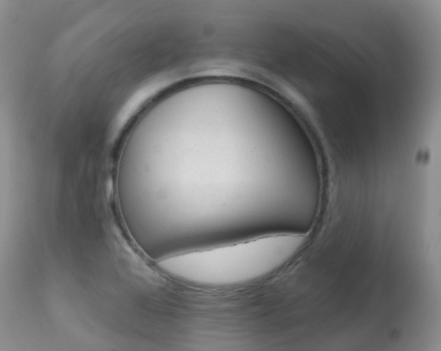 X0000113961368200909251016