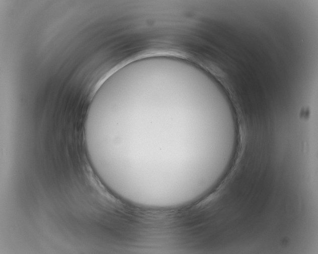 X0000113961369200909251016