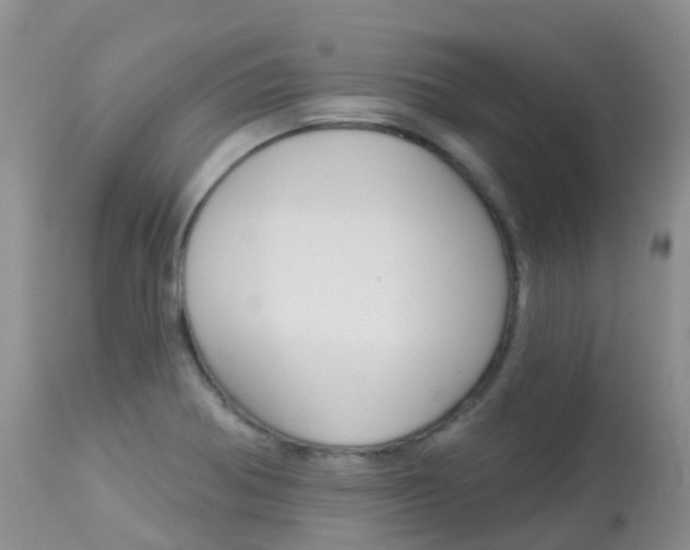 X0000113961370200909251016