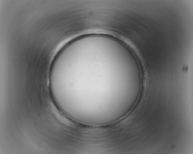 X0000113961372200909251016