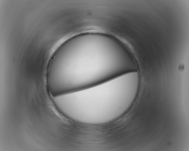 X0000113961375200909251016
