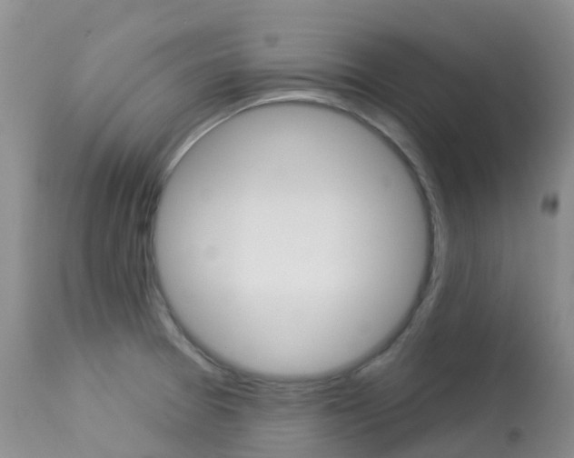 X0000113961377200909251016