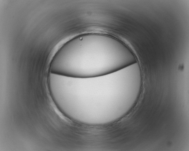 X0000113961379200909251016