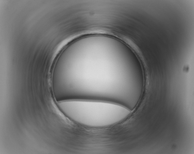 X0000113961380200909251016
