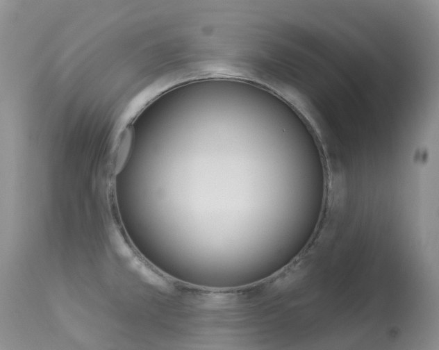 X0000113961381200909251016