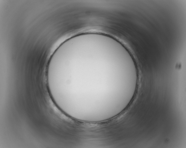 X0000113961382200909251016