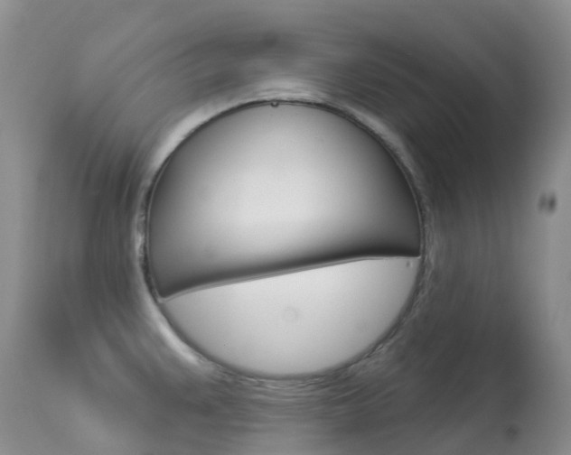 X0000113961383200909251016