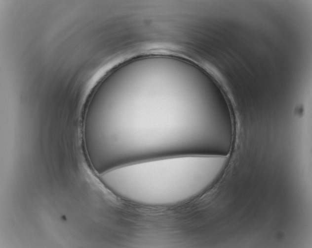 X0000113961384200909251016