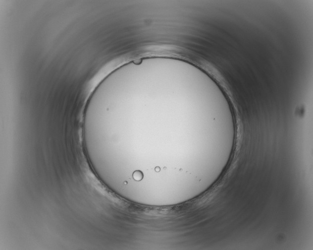 X0000113961386200909251016