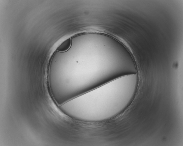 X0000113961387200909251016
