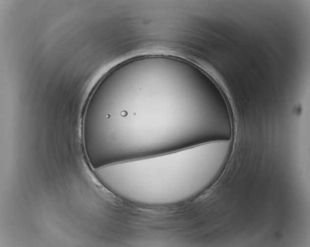 X0000113961388200909251016